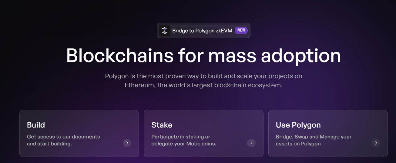 Polygon Web3 Homepage