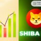 Here are 5 factors behind the massive Shiba Inu bull frenzy today