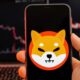 Shiba Inu (SHIB) Surpasses $5 Billion Market Cap, Analysts Predict This New $120 Million Altcoin to Surpass It in 2024