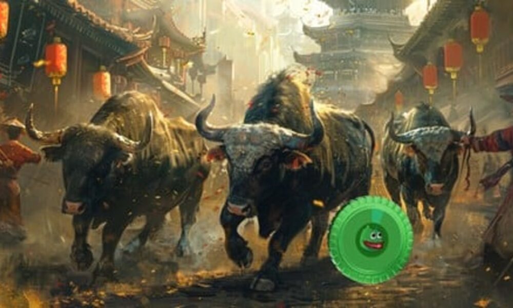 The 3 Best Altcoins to Invest in a Bull Market