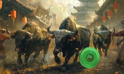 The 3 Best Altcoins to Invest in a Bull Market