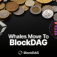 BlockDAG's explosive $32.4M pre-sale steals investors from Retik Finance listing after Digifinex