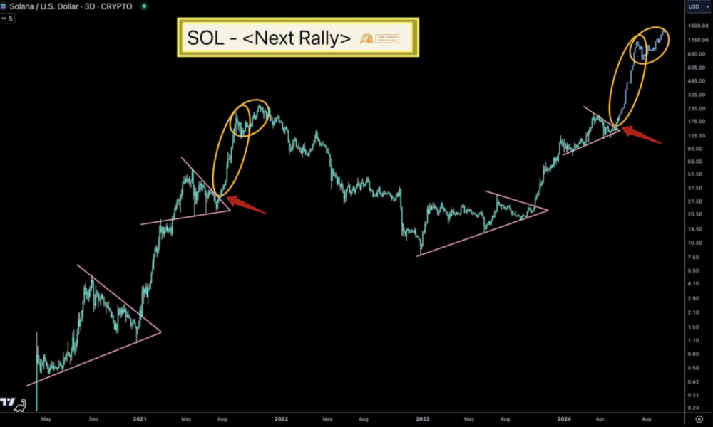 Will Solana reach $1,000?  The analyst makes a bullish forecast despite the recession