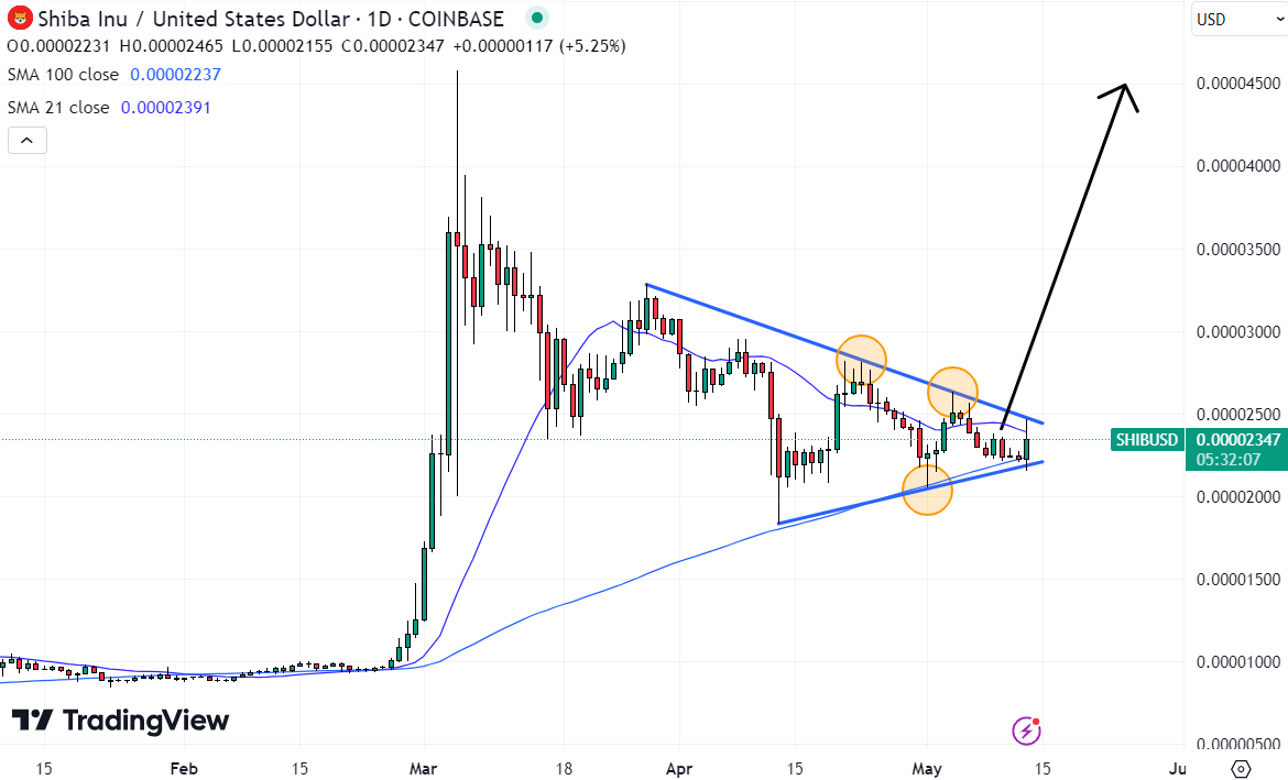 Shiba Inu might be the best cryptocurrency to buy right now. 