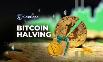 Bitcoin Halving 2024: BTC Halving Could Be the Best Gift for Altcoins