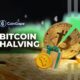 Bitcoin Halving 2024: BTC Halving Could Be the Best Gift for Altcoins