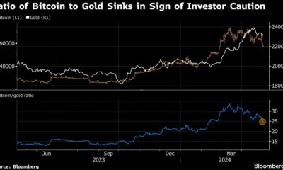 Bitcoin crash triggers warning of “future problems” for global markets