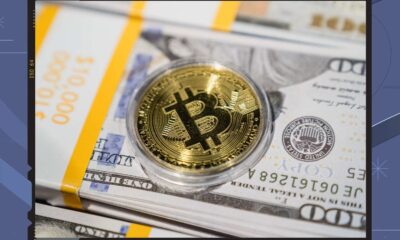 Bitcoin halving stabilizes price, surge in network transaction fees