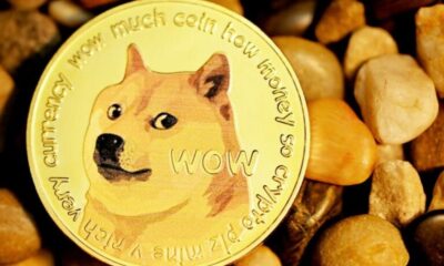 Dogecoin, Pepe and Shiba Inu Rally Raises Hopes for Impending Altcoin Season: “...Will Start to Outperform Right Now”