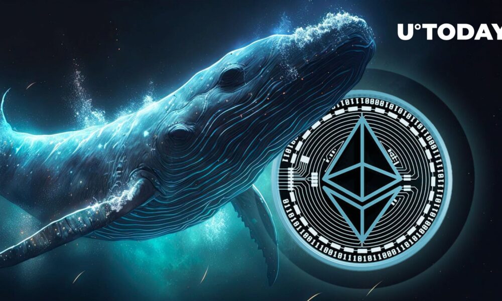 Ethereum Whale swallows 13,500 ETH on major crypto exchange