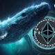 Ethereum Whale swallows 13,500 ETH on major crypto exchange