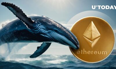 Ethereum Whales Hoard $40M in ETH as Prices Rebound