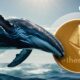 Ethereum Whales Hoard $40M in ETH as Prices Rebound