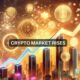 Led by Bitcoin, why is the cryptocurrency market growing today?