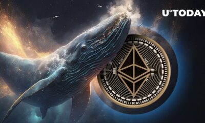 Mysterious whale removes 6,030 Ethereum (ETH) from exchange as price eyes $3,000