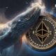 Mysterious whale removes 6,030 Ethereum (ETH) from exchange as price eyes $3,000