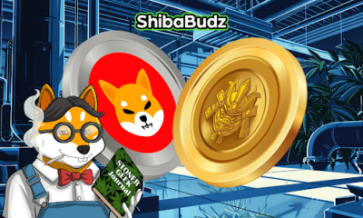 New Cryptocurrency Investors Add Shiba Inu (SHIB) and New Shib Altcoin to Their Holdings