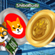 New Cryptocurrency Investors Add Shiba Inu (SHIB) and New Shib Altcoin to Their Holdings