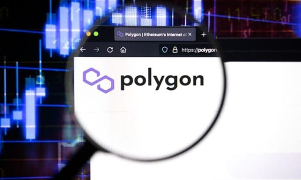 Polygon (MATIC) and Sei (SEI) continue to rise, with the price of new Altcoin KangaMoon (KANG) up 125%