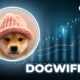 Solana-Based Dogwifhat and Dogecoin Pare Gains as Bitcoin Struggles to Recover $64,000