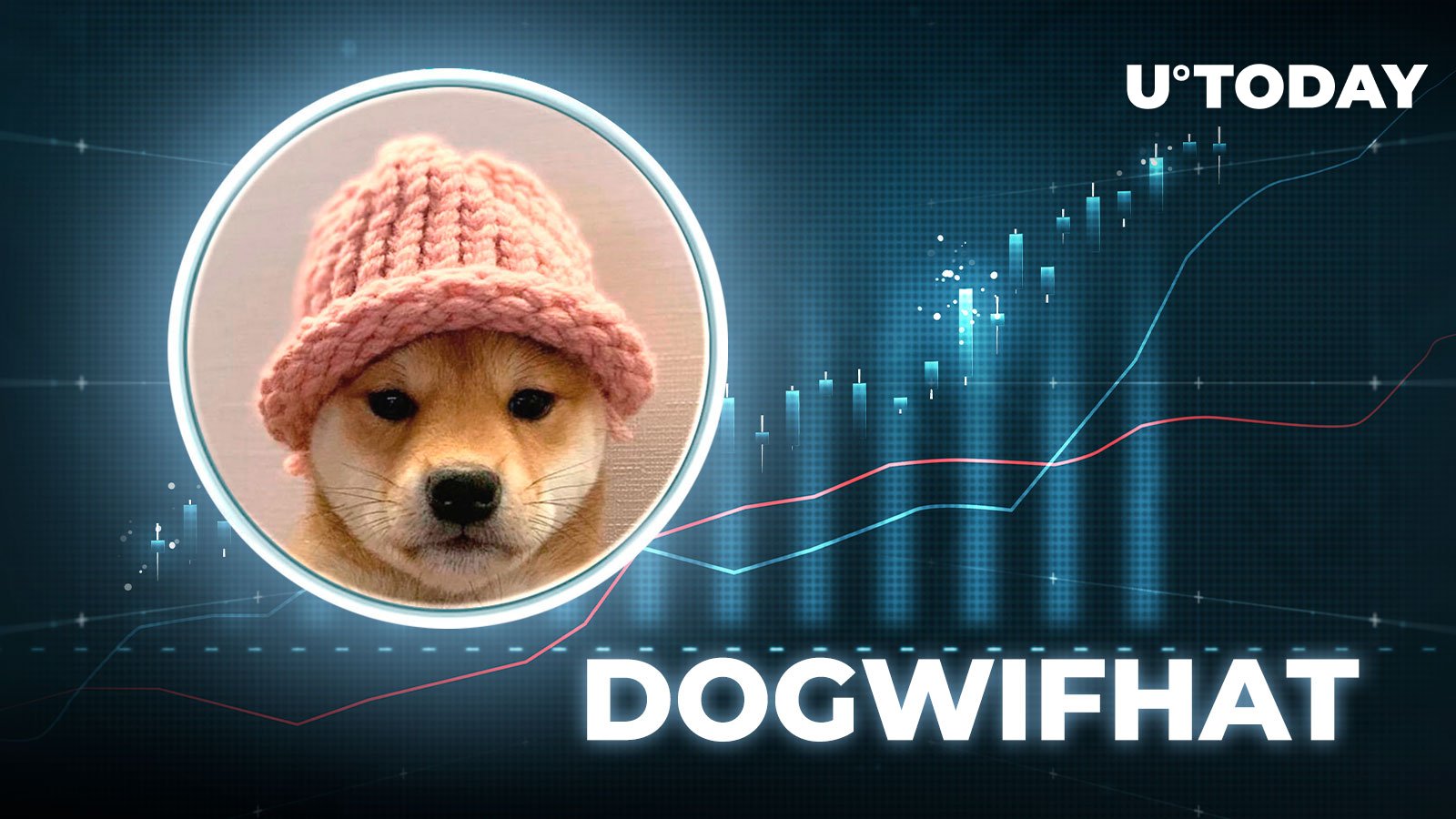 Solana-Based Dogwifhat and Dogecoin Pare Gains as Bitcoin Struggles to Recover $64,000