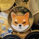 Will Shiba Inu (SHIB) reach $1?  This new Altcoin is up 170%