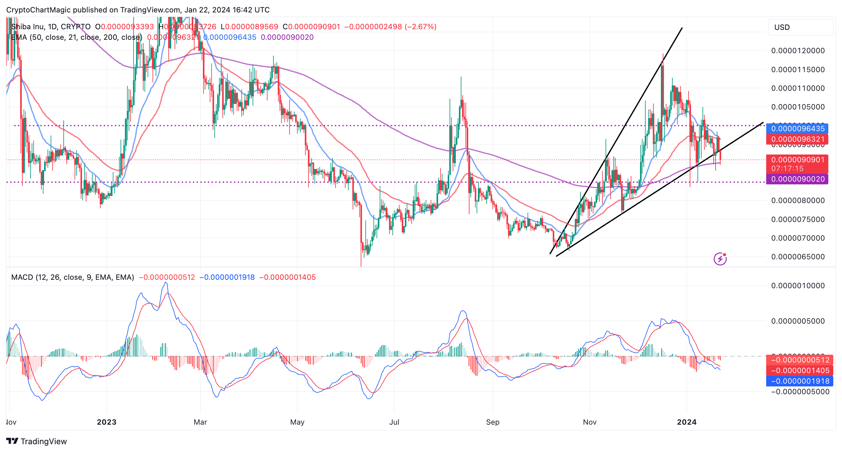 SHIB Price Chart |  Commercial view