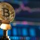 Today's cryptocurrency prices: Check rates of Bitcoin, Ethereum, Dogecoin, Polygon