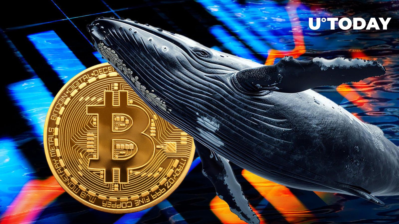 Major Bitcoin whale buys $395 million worth of BTC after recent price drop