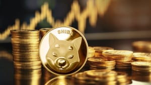 Shiba Inu (SHIB) Could Be About to Make a Big Move, Key Level to Watch