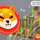 Bulls on Hold as Shiba Inu Prepares for 200% Rally