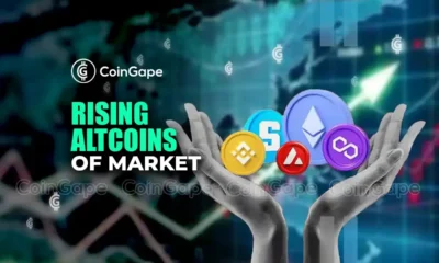 Newly Rising Altcoins Of The Market; Analysed