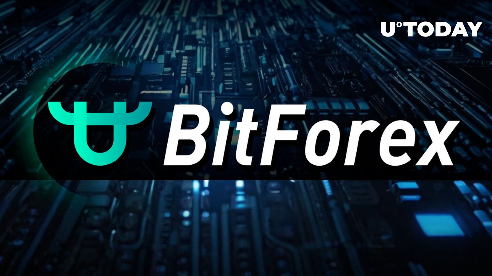 BitForex Team Finally Breaks Silence After Five Months of Shutdown: What Next?