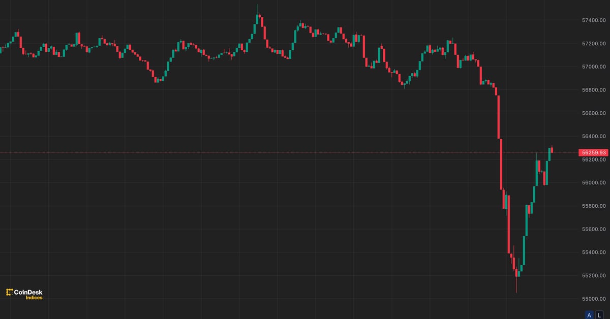 Bitcoin (BTC) Price Drops to $55,000 as German Government Moves Another $500 Million in Assets