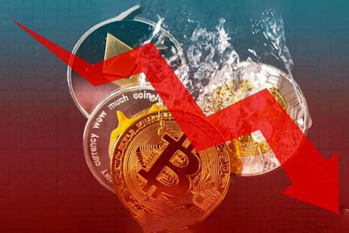 Bitcoin Crashes to $53.6K, Altcoins Bleed