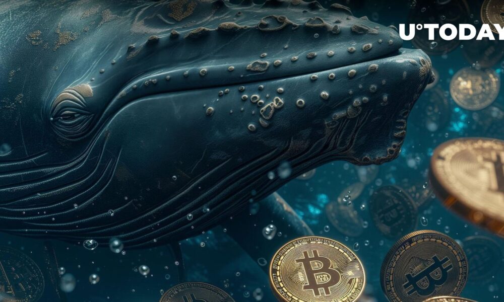 Bitcoin's Sleeping Whale Bursts to Life with a Massive 63,946% Profit