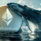 Ethereum (ETH) Surges 449% on Surprising Whale Activity Amid Market Drawdown