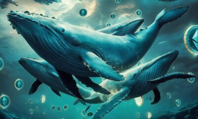 Ethereum ICO era Whale transfers $24M to Kraken