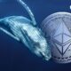 Giant Ethereum Whale on Brink of Liquidation as ETH Bloodbath Intensifies