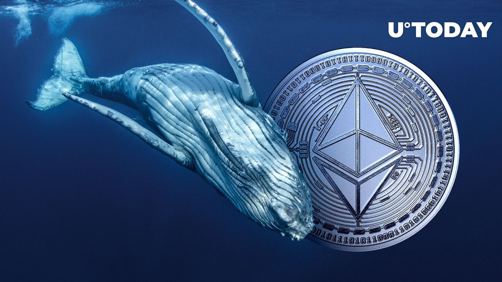 Giant Ethereum Whale on Brink of Liquidation as ETH Bloodbath Intensifies