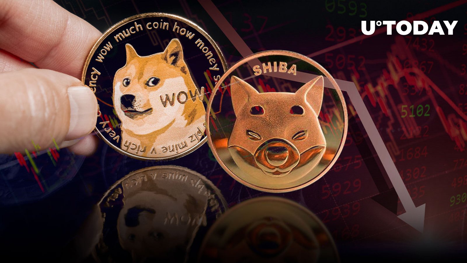 Shiba Inu (SHIB) and Dogecoin (DOGE) Among Major Crypto Laggards as Market Sees Severe Downturn